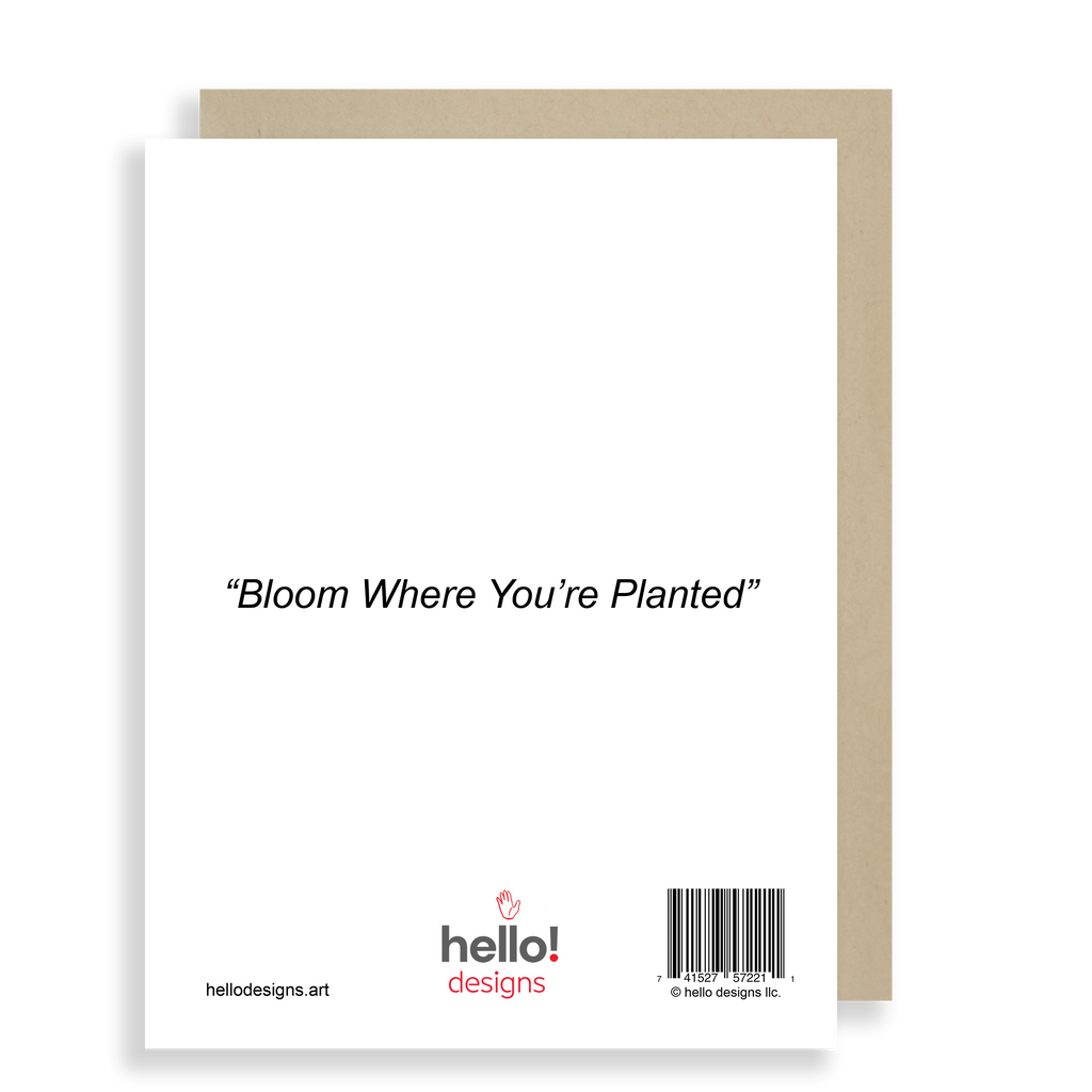 Bloom Where You're Planted