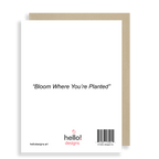 Bloom Where You're Planted